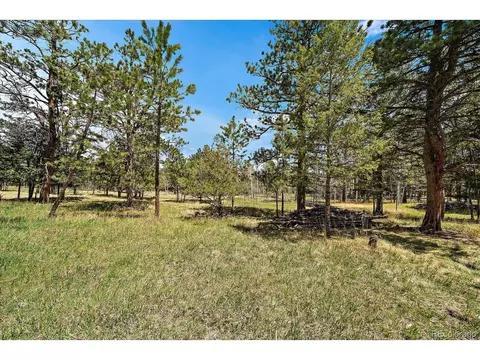 Burland Dr, Bailey, CO 80421 photo 5