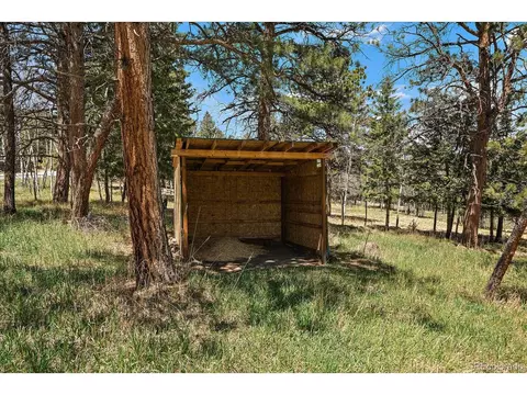 Burland Dr, Bailey, CO 80421 photo 6