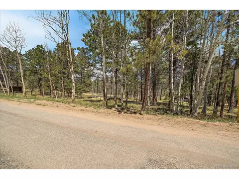 Burland Dr, Bailey, CO 80421 photo 12