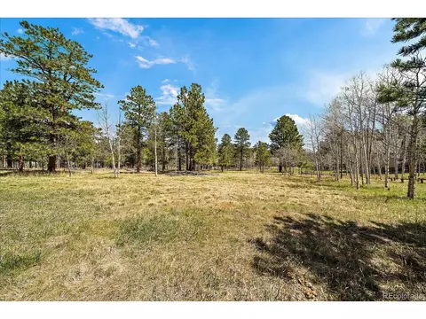 Burland Dr, Bailey, CO 80421 photo 9
