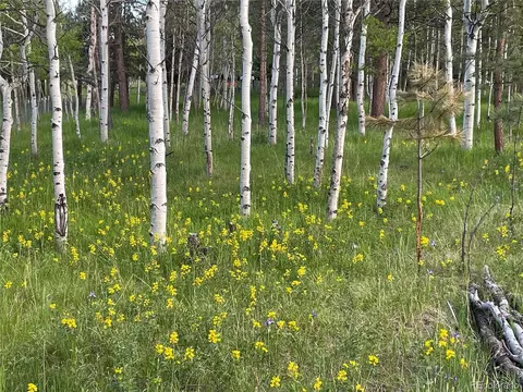 Burland Dr, Bailey, CO 80421 photo 15