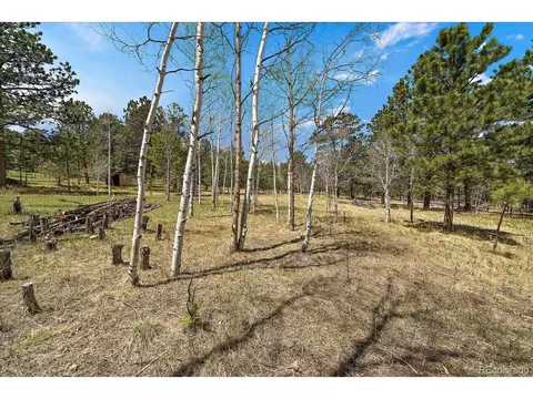 Burland Dr, Bailey, CO 80421 photo 11