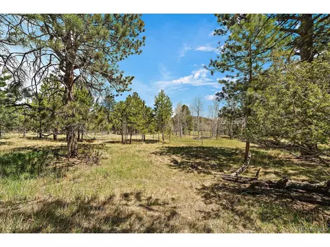 Burland Dr, Bailey, CO 80421 photo 7
