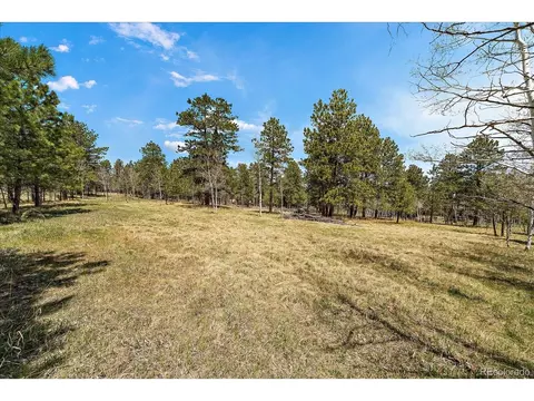 Burland Dr, Bailey, CO 80421 photo 10