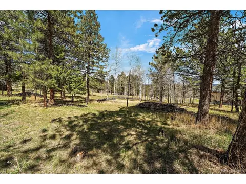 Burland Dr, Bailey, CO 80421 photo 3