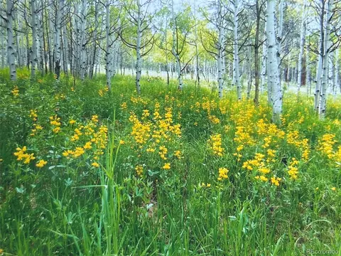 Burland Dr, Bailey, CO 80421 photo 13