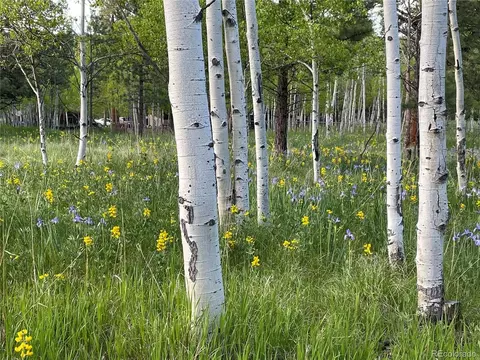 Burland Dr, Bailey, CO 80421 photo 16
