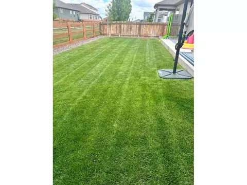 910 Pierson Ct, Windsor, CO 80550 photo 29