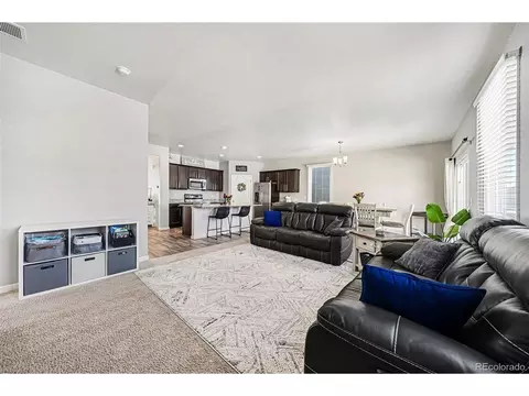 910 Pierson Ct, Windsor, CO 80550 photo 11
