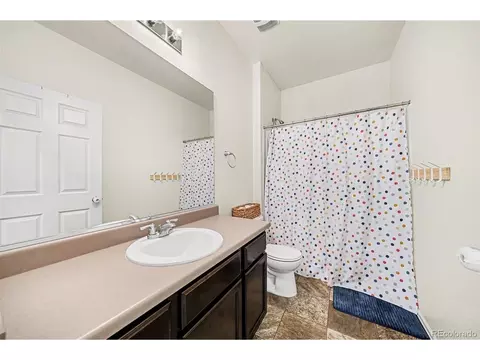 910 Pierson Ct, Windsor, CO 80550 photo 17
