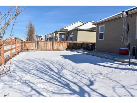 910 Pierson Ct, Windsor, CO 80550 photo 27