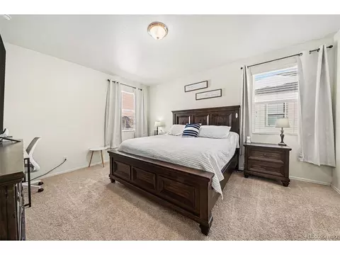 910 Pierson Ct, Windsor, CO 80550 photo 13