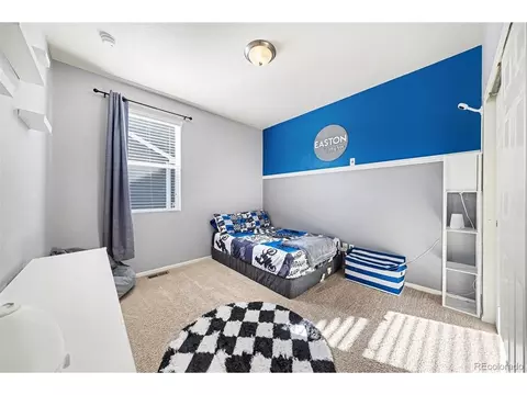 910 Pierson Ct, Windsor, CO 80550 photo 18