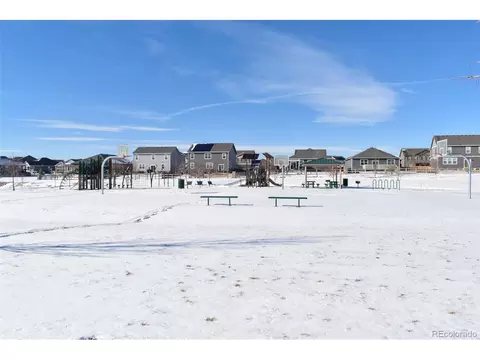 910 Pierson Ct, Windsor, CO 80550 photo 31