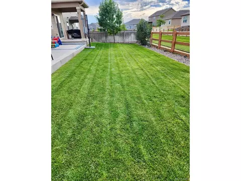 910 Pierson Ct, Windsor, CO 80550 photo 30