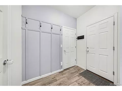 910 Pierson Ct, Windsor, CO 80550 photo 19