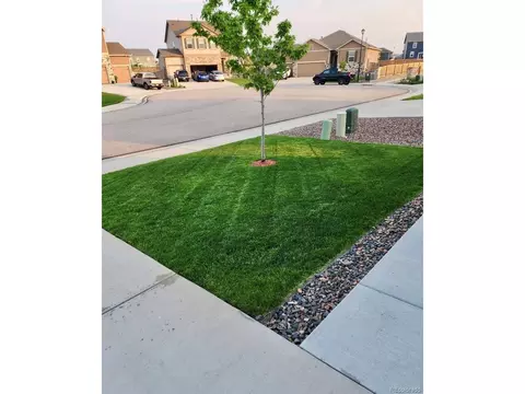 910 Pierson Ct, Windsor, CO 80550 photo 2