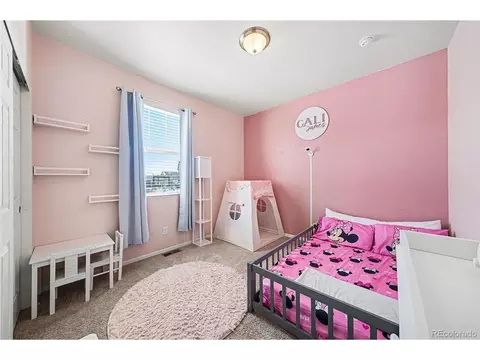 910 Pierson Ct, Windsor, CO 80550 photo 16