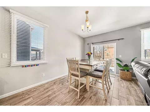 910 Pierson Ct, Windsor, CO 80550 photo 7