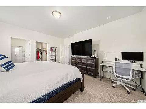 910 Pierson Ct, Windsor, CO 80550 photo 14