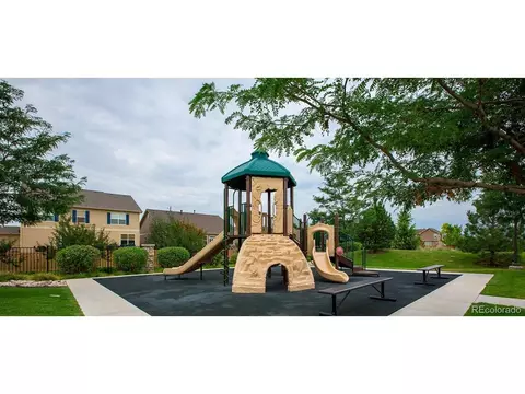 910 Pierson Ct, Windsor, CO 80550 photo 35