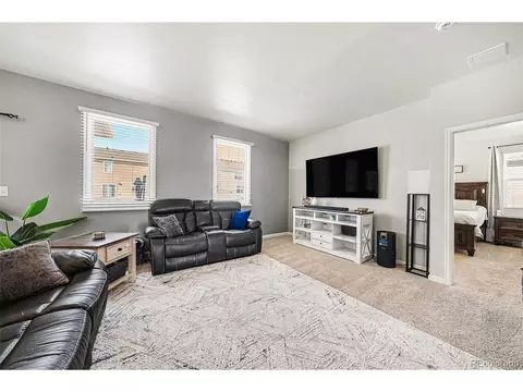 910 Pierson Ct, Windsor, CO 80550 photo 9