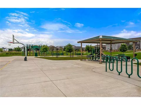 910 Pierson Ct, Windsor, CO 80550 photo 34