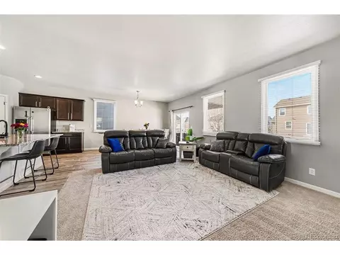 910 Pierson Ct, Windsor, CO 80550 photo 10