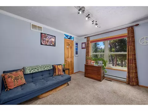 223 Feldspar Rd, Black Hawk, CO 80422 photo 14