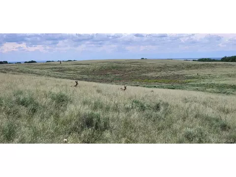 County Rd 95, Orchard, CO 80654 photo 25