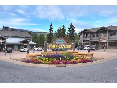 80 Fish Hawk Way, Silverthorne, CO 80498 photo 38