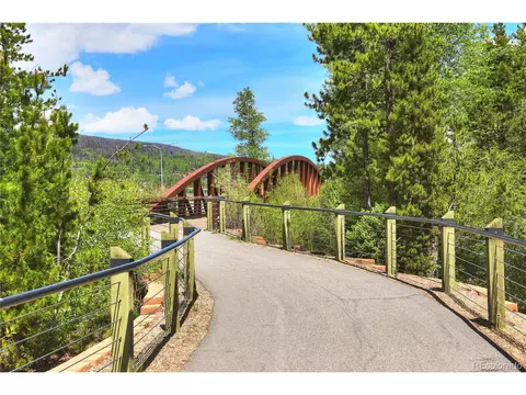 80 Fish Hawk Way, Silverthorne, CO 80498 photo 35