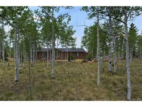 Exterior - 972 Wampum Ln, Como, CO 80432 photo 3 of 6