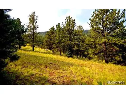 111 Isabel Claim, Cripple Creek, CO 80813