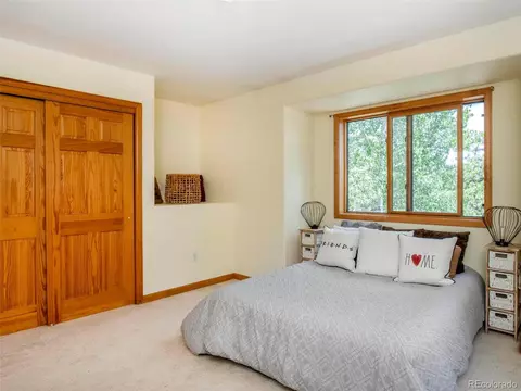 170 S Random Rd, Bailey, CO 80421 photo 19