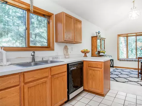 170 S Random Rd, Bailey, CO 80421 photo 17