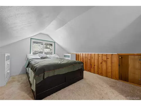 684 Old State Rd, Bailey, CO 80421 photo 13