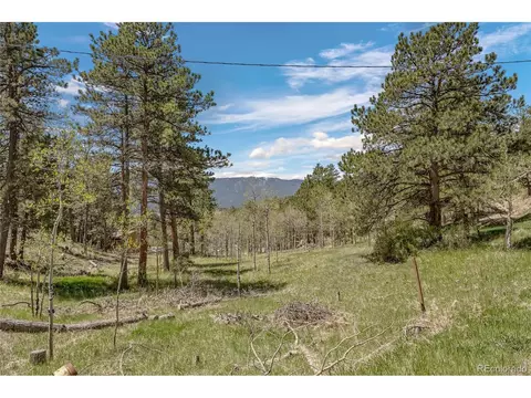 684 Old State Rd, Bailey, CO 80421 photo 22