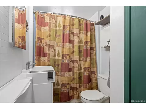 684 Old State Rd, Bailey, CO 80421 photo 12