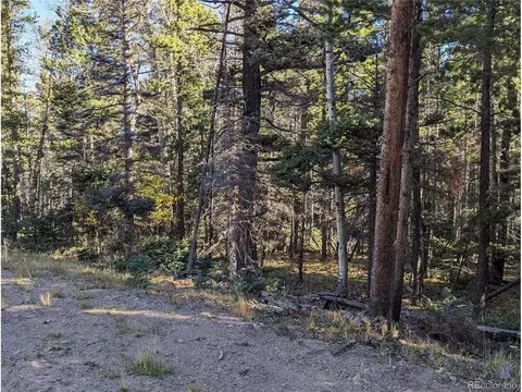 3067 Forbes Park Loop, Fort Garland, CO 81133
