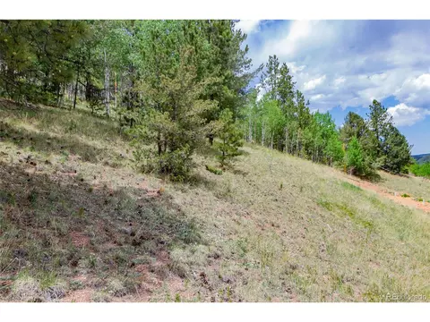 185 Willow Rd, Divide, CO 80814 photo 6