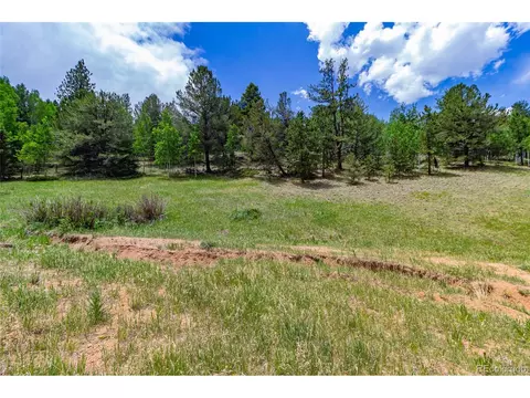 185 Willow Rd, Divide, CO 80814 photo 5