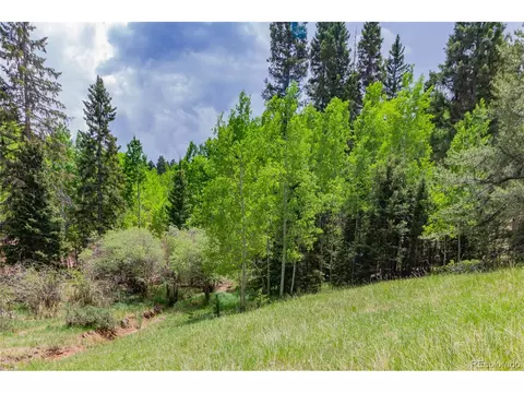 185 Willow Rd, Divide, CO 80814 photo 4