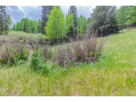 185 Willow Rd, Divide, CO 80814 photo 3
