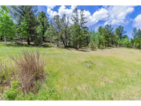 185 Willow Rd, Divide, CO 80814 photo 2