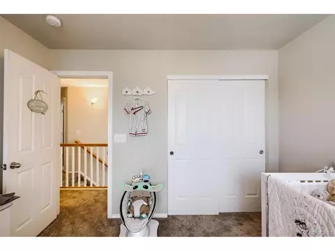 9471 E 109th Dr, Henderson, CO 80640 photo 29