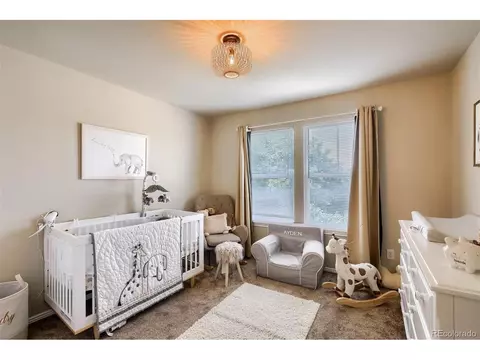 9471 E 109th Dr, Henderson, CO 80640 photo 28