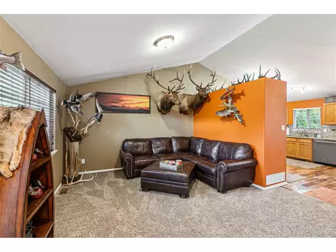 6305 Taylor St, Frederick, CO 80530 photo 6