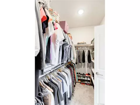 10090 E 59th Dr, Denver, CO 80238 photo 20