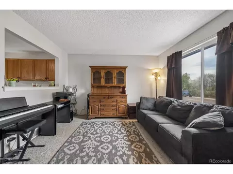 Living - 3143 E 96th Pl, Thornton, CO 80229 photo 2 of 5